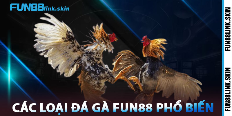 Đá Gà FUN88 – Sân Chơi Đá Gà Online Chuẩn Quốc Tế 2025 2 Các Loại Đá Gà FUN88 Phổ Biến