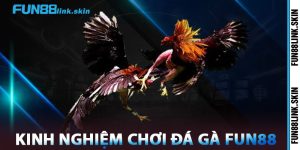 Kinh Nghiệm Chơi Đá Gà FUN88
